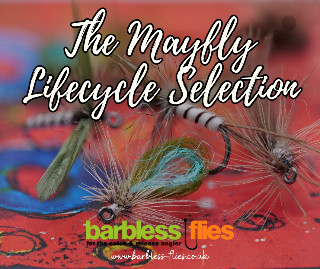 Mayfly (Full Lifecycle) Selection - Updated for 2025