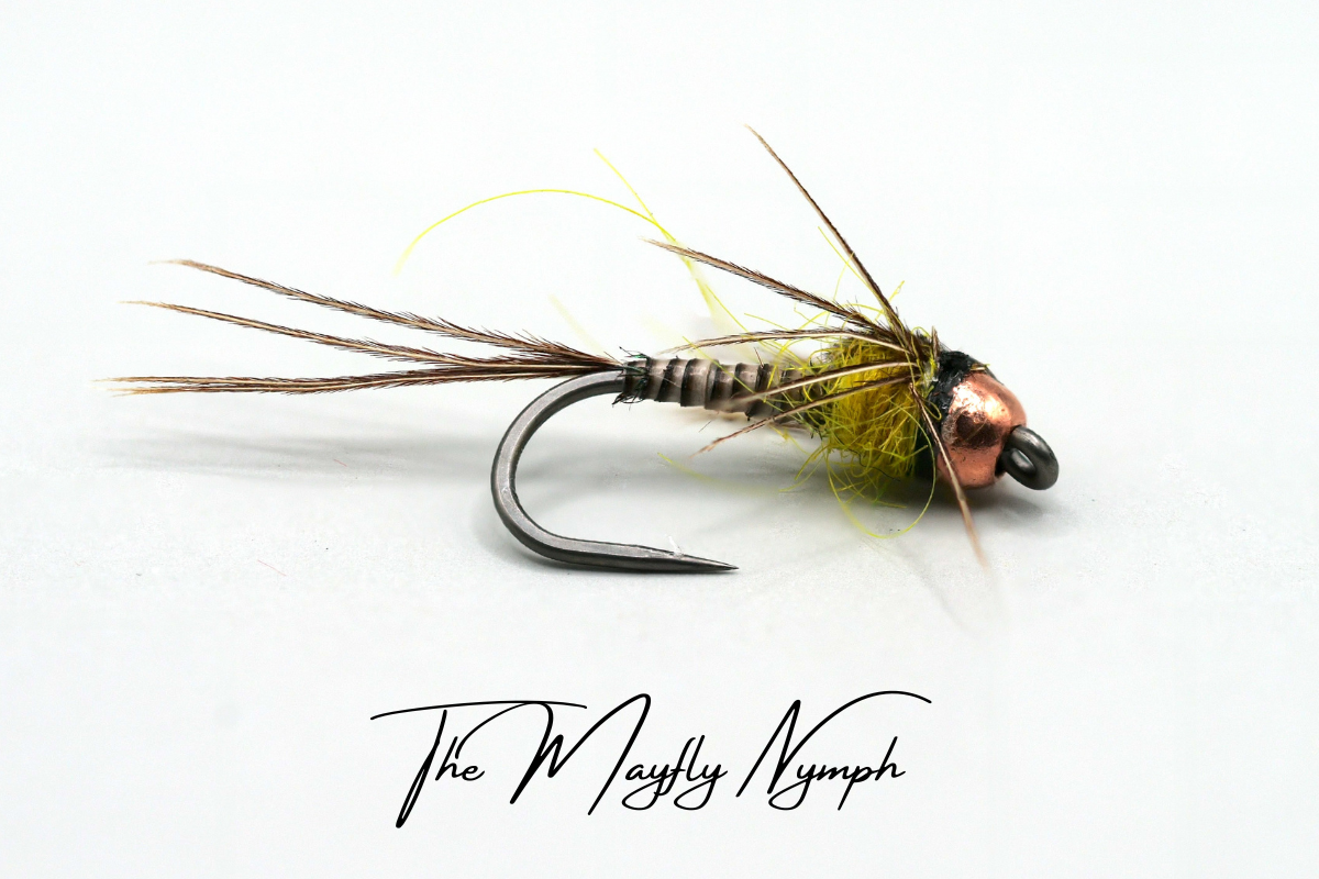 Mayfly Nymph