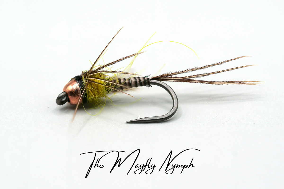 Mayfly Nymph