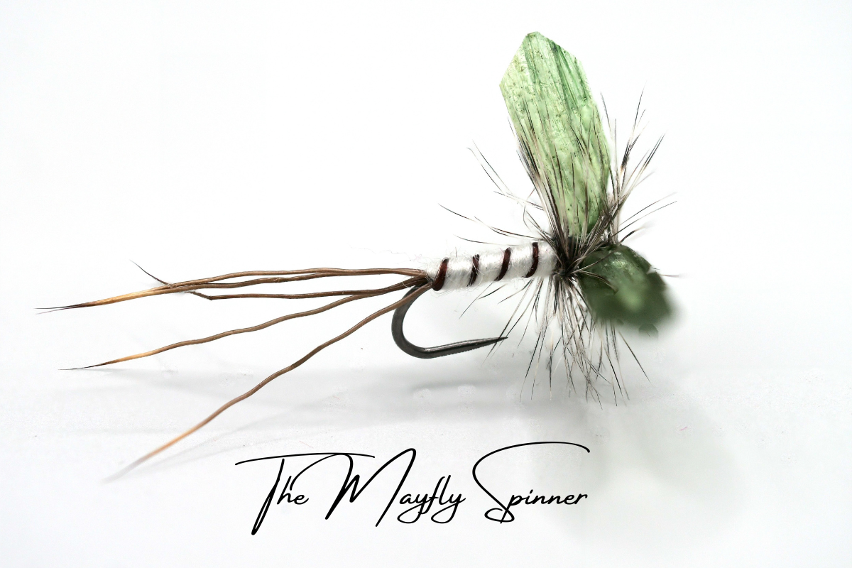Mayfly (Full Lifecycle) Selection - Updated for 2025