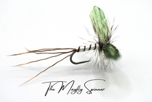 Load image into Gallery viewer, Mayfly (Full Lifecycle) Selection - Updated for 2025
