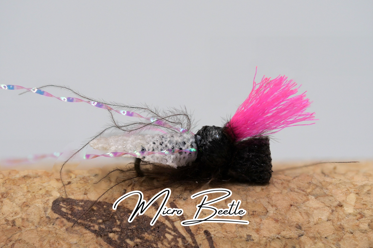 The Barbless Beetle Selection