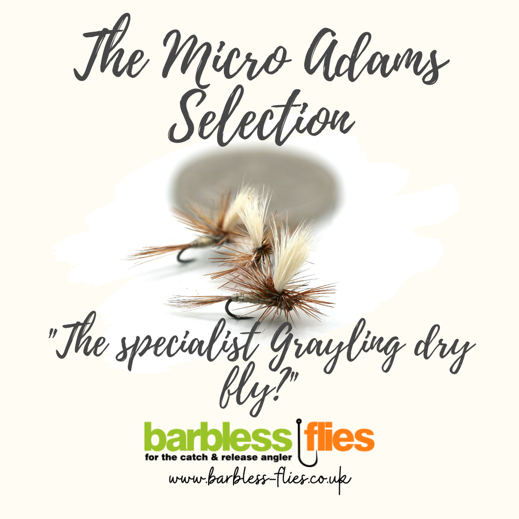 Micro Adams Selection
