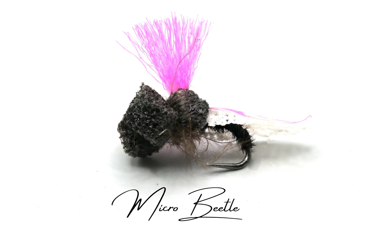 The Micro Beetle