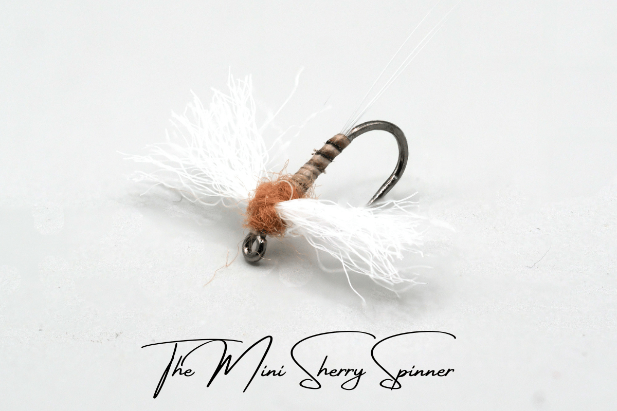 The Mini Sherry Spinner