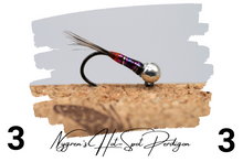 Load image into Gallery viewer, Nygren&#39;s Hot-Spot Rainbow Perdigon Jig
