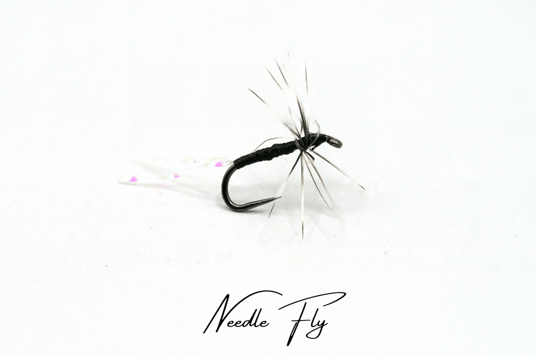 Needle Fly