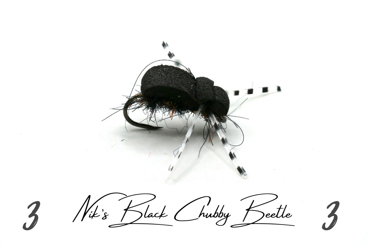 Nik's Chubby Beetle