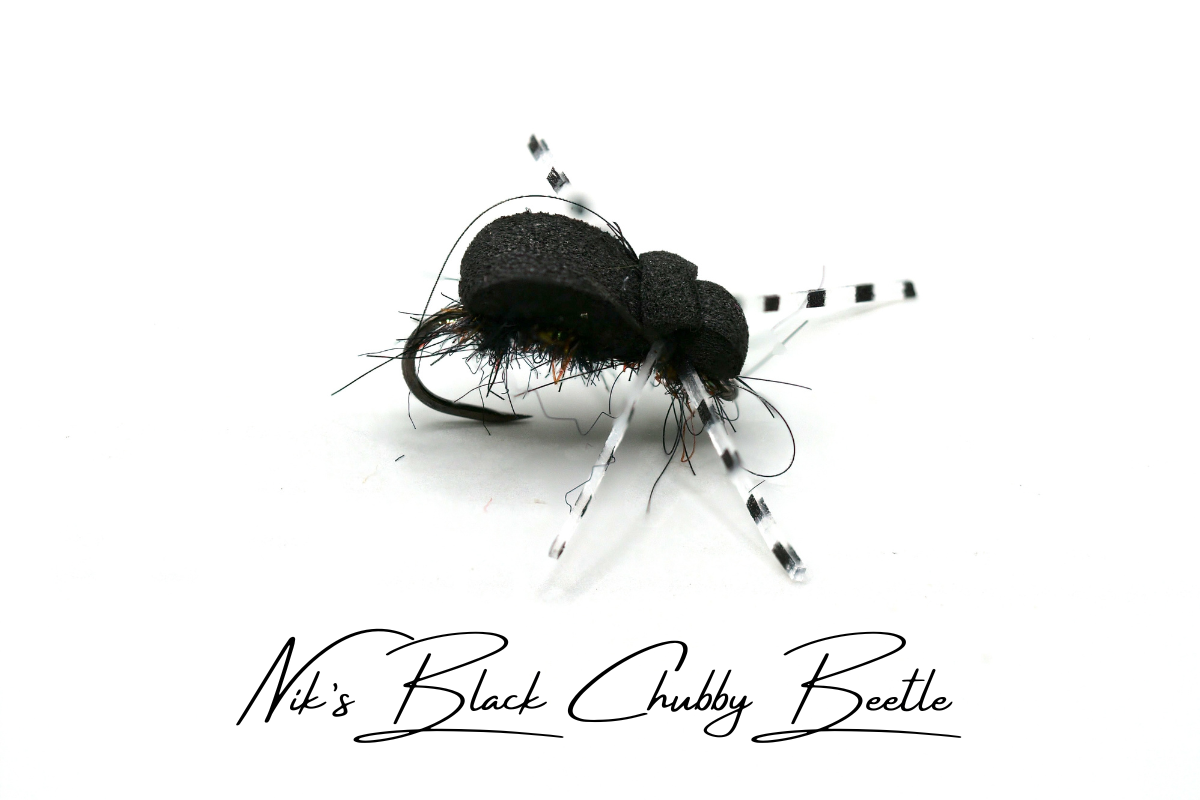 Nik's Chubby Beetle