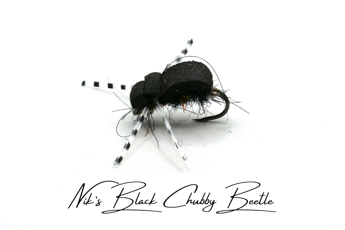 Nik's Chubby Beetle