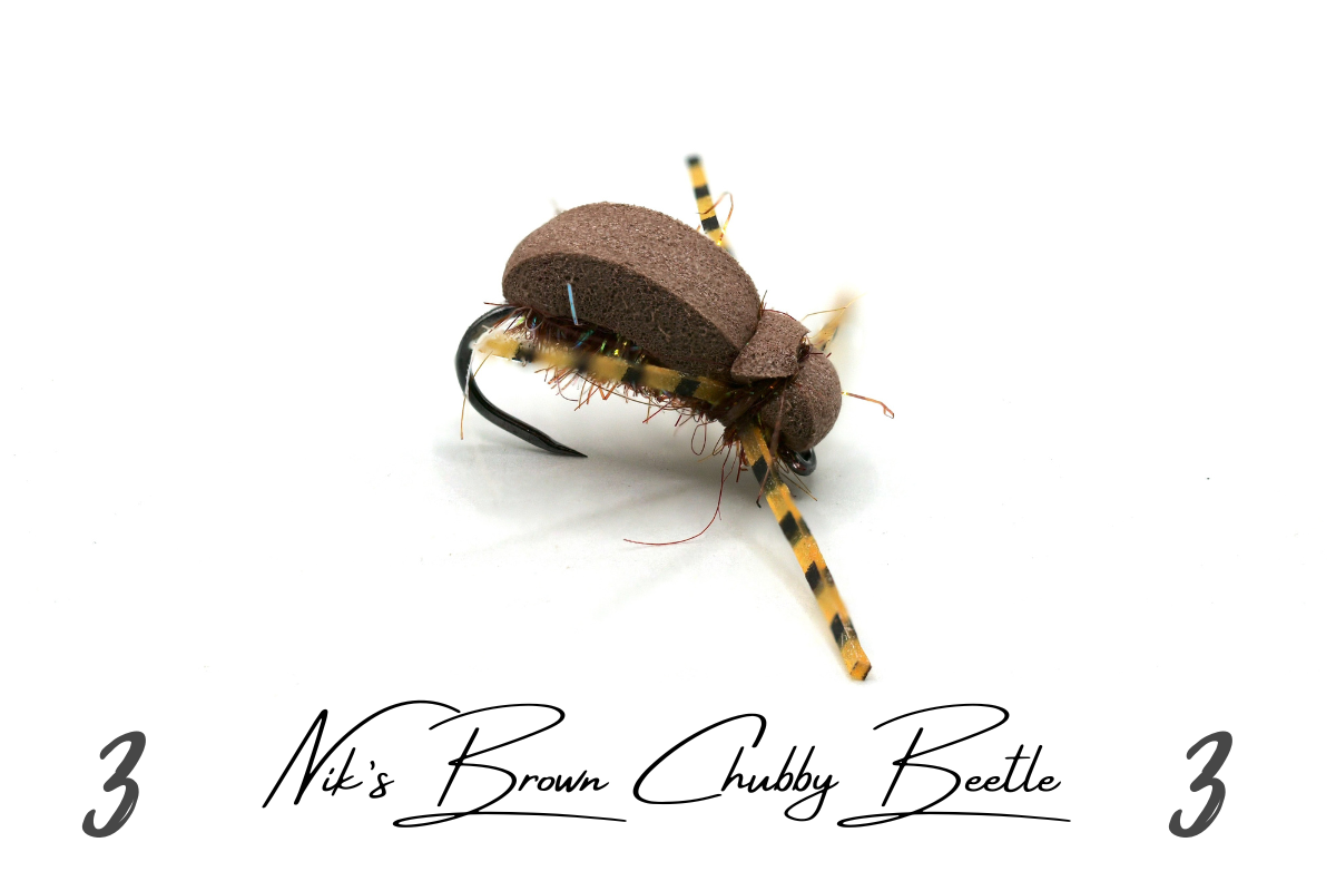 Nik's Chubby Beetle