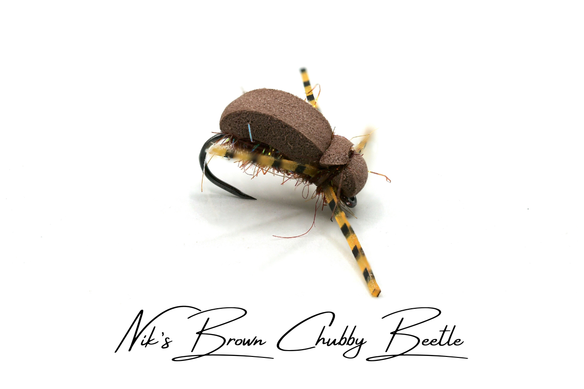 Nik's Chubby Beetle