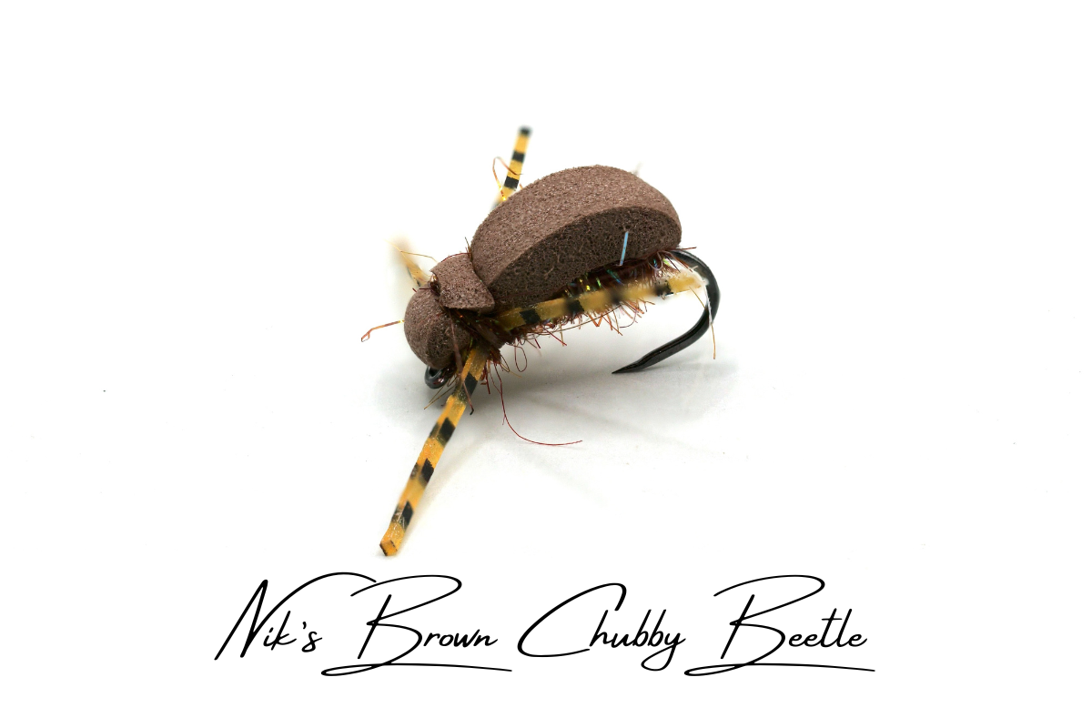 Nik's Chubby Beetle