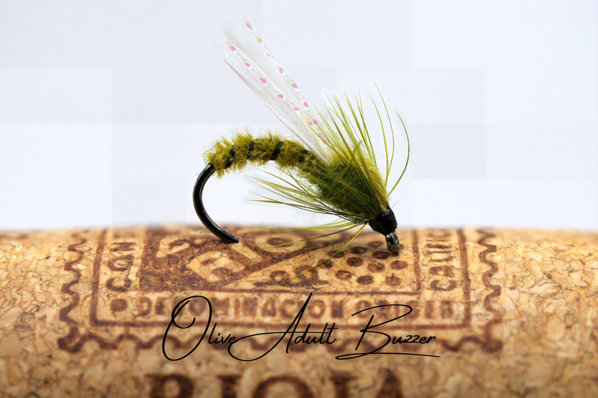 The Adult & Emerging Buzzer Selection