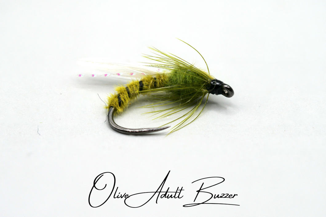 Olive Adult Buzzer