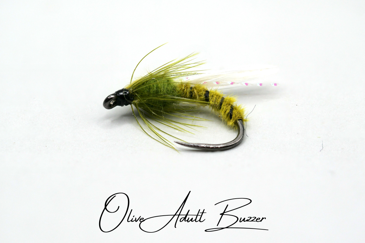 Olive Adult Buzzer
