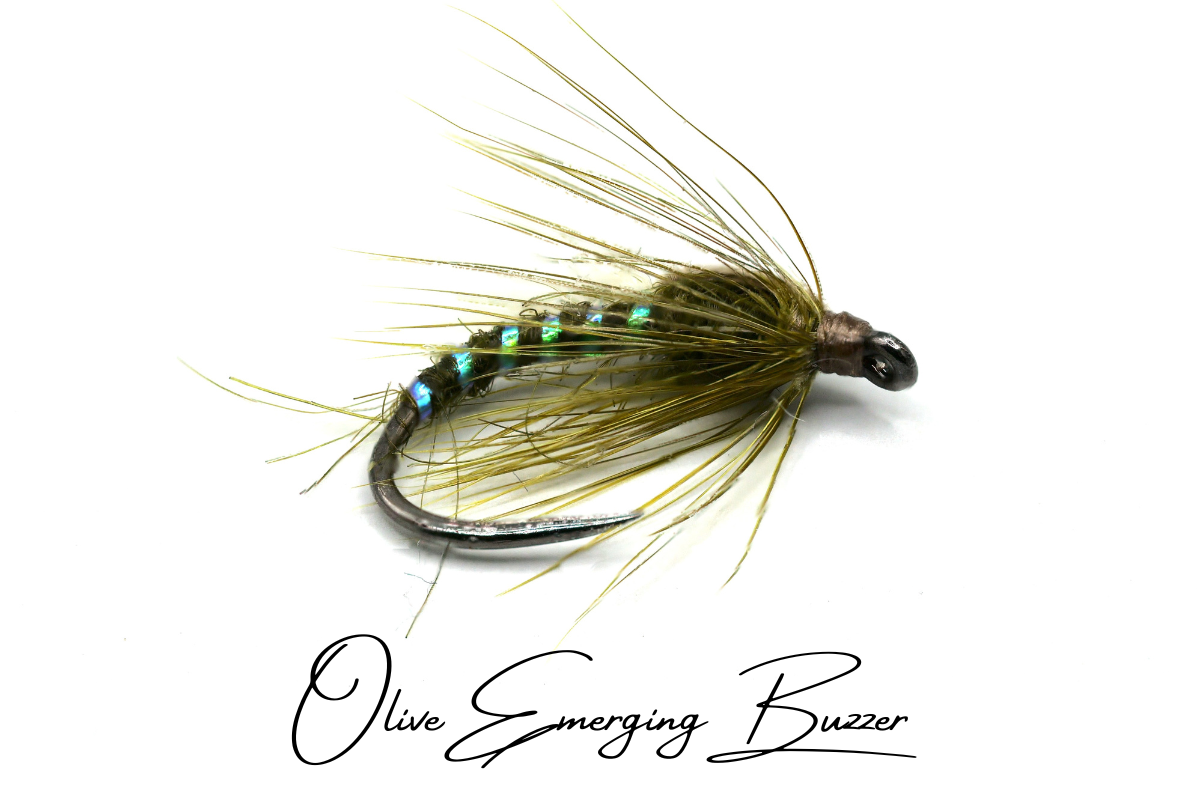Olive Emerging Buzzer
