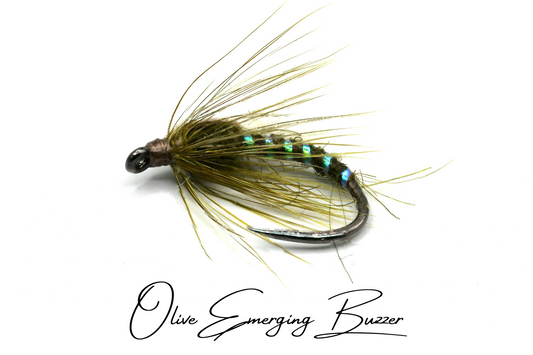Olive Emerging Buzzer