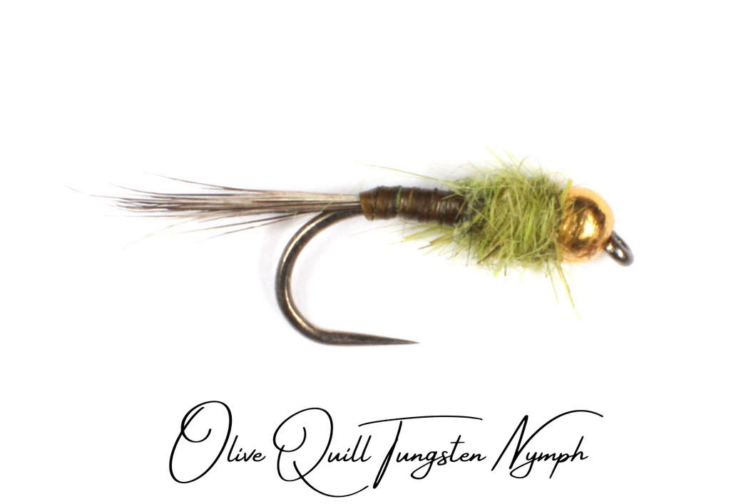 Olive Quill Tungsten Nymph