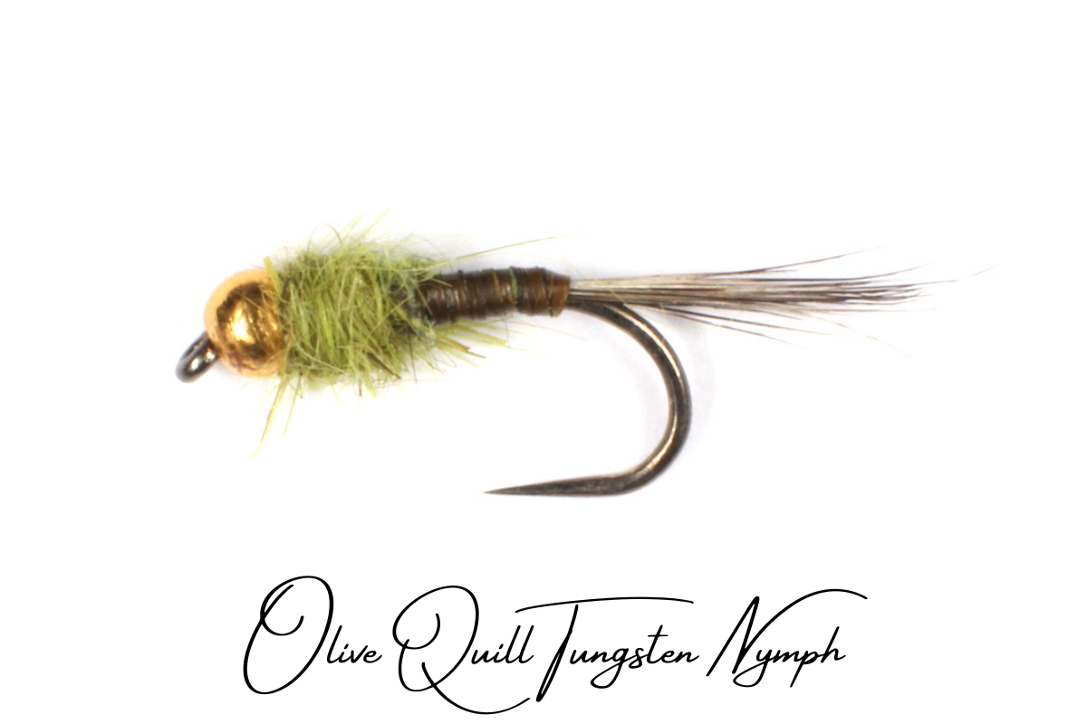 Olive Quill Tungsten Nymph