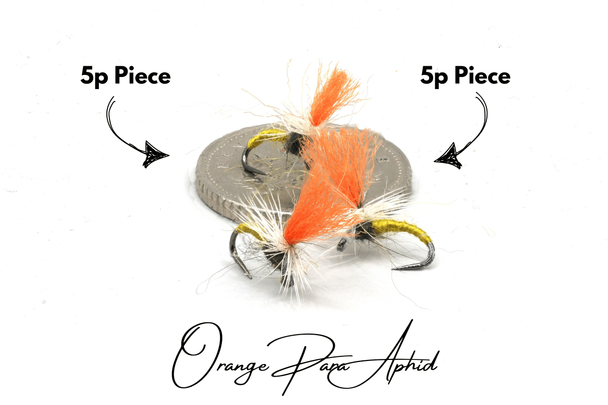 Orange Para Aphid