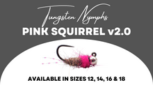 Load image into Gallery viewer, Pink Squirrel v2.0
