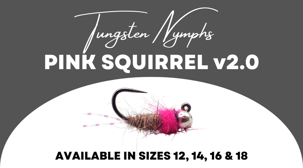 Pink Squirrel v2.0