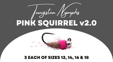 Load image into Gallery viewer, Pink Squirrel v2.0 Selection
