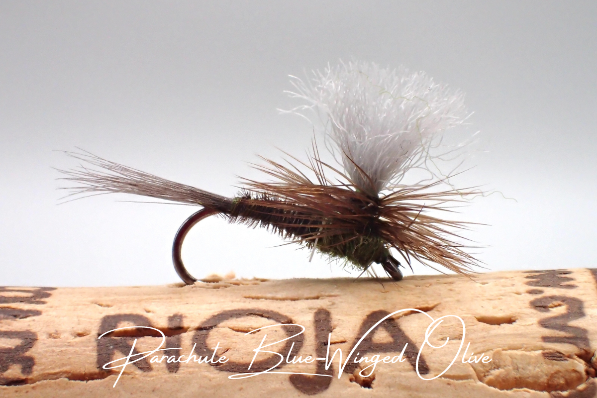 Parachute Blue-Winged Olive