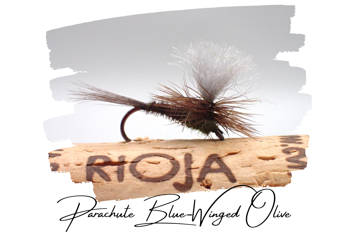 Parachute Blue-Winged Olive