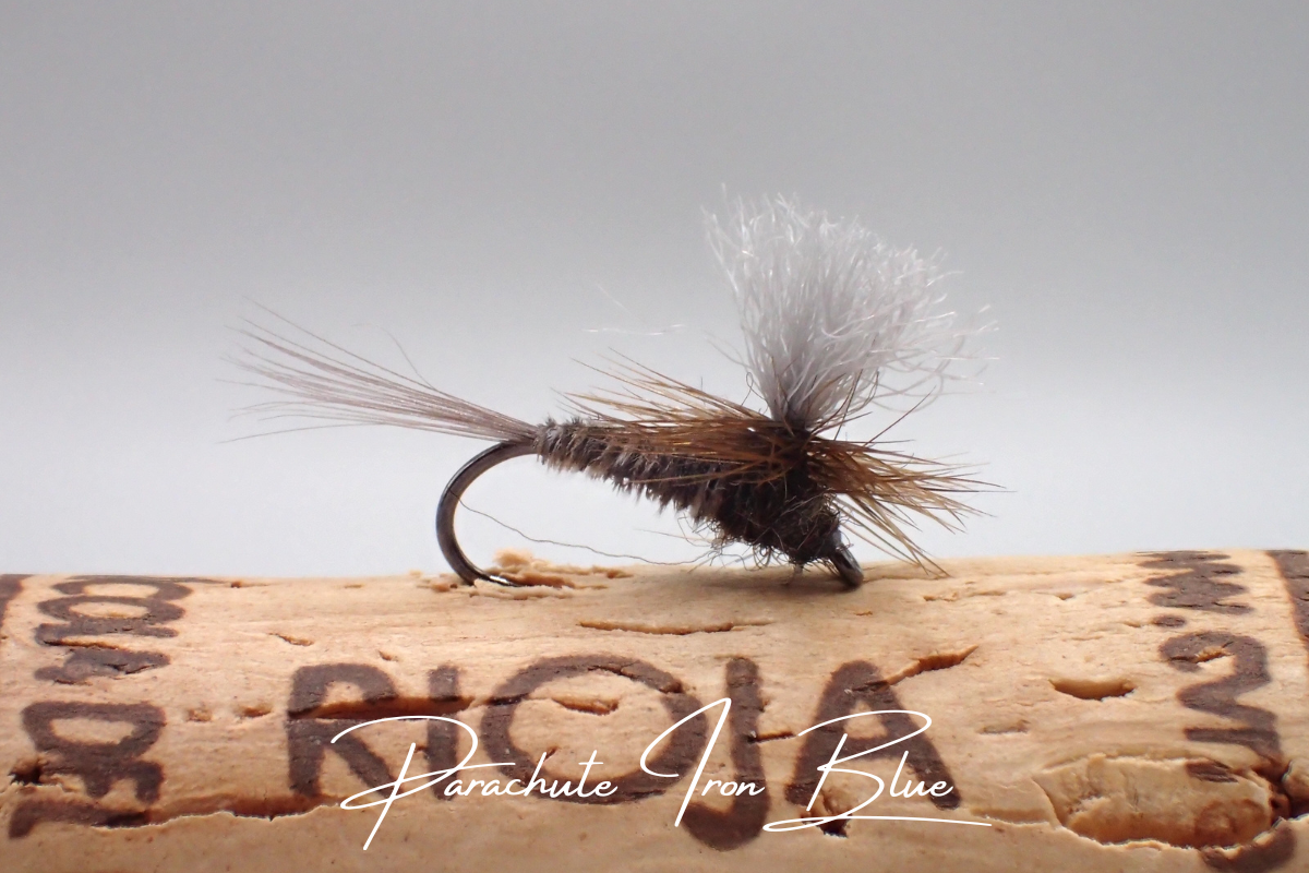 Parachute Iron Blue