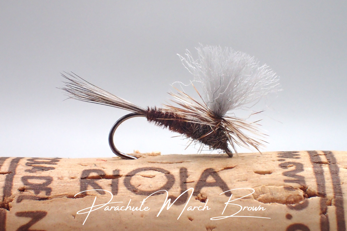 Parachute March Brown