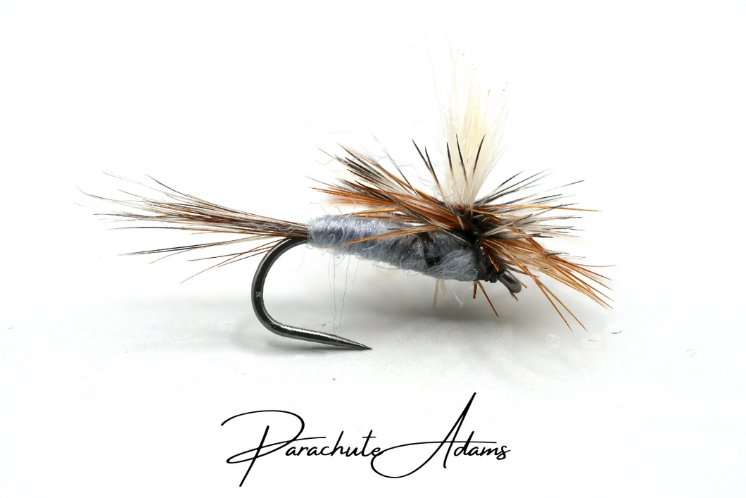 Parachute Adams