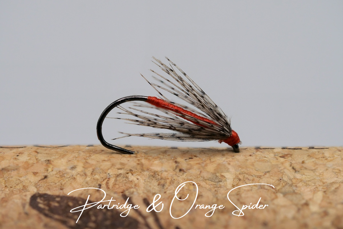 Partridge & Orange Spider