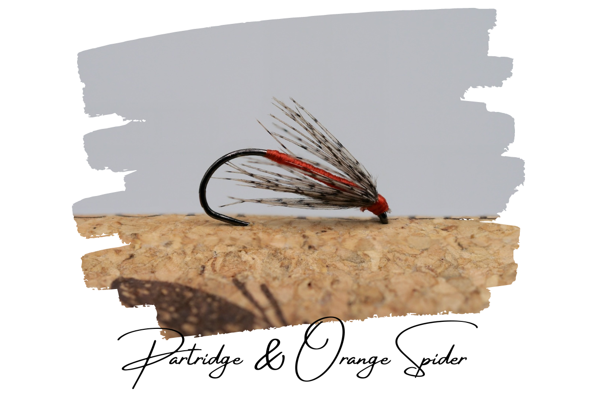 Partridge & Orange Spider