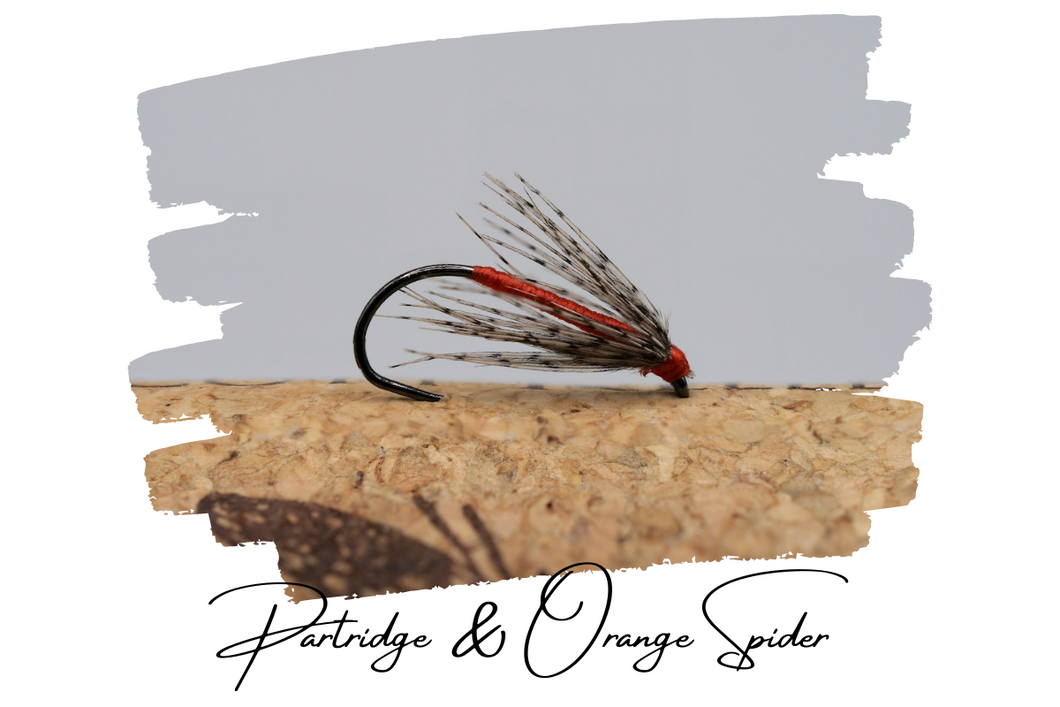 Partridge & Orange Spider