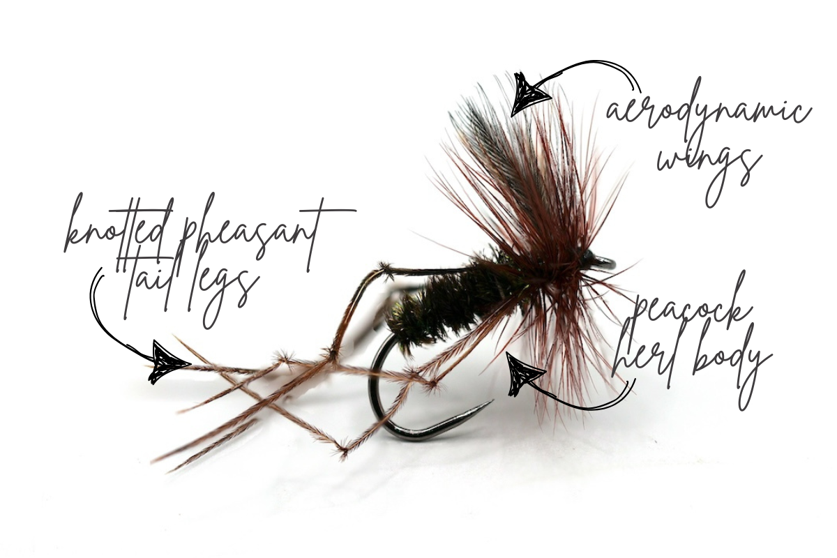 The Peacock Daddy - Artisan Range