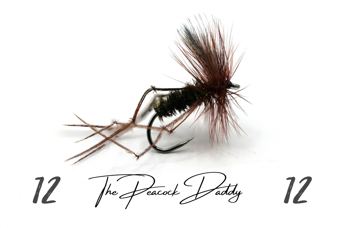 The Peacock Daddy - Artisan Range