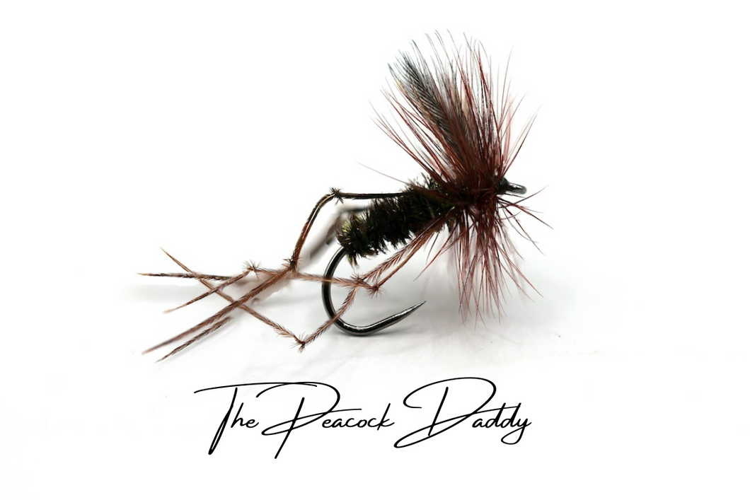 The Peacock Daddy - Artisan Range