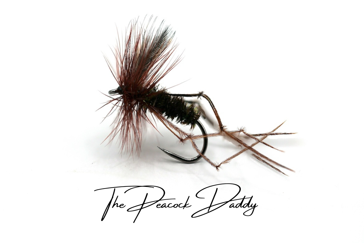 The Peacock Daddy - Artisan Range