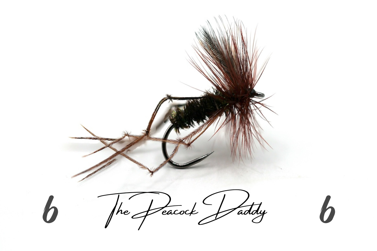 The Peacock Daddy - Artisan Range