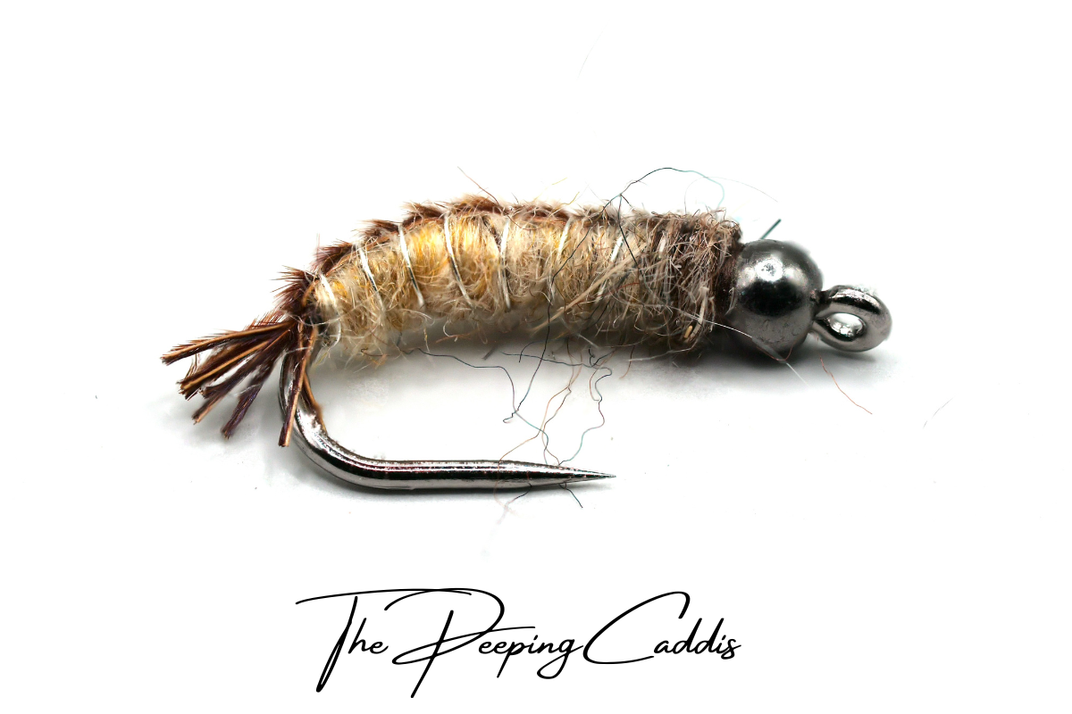 The Peeping Caddis