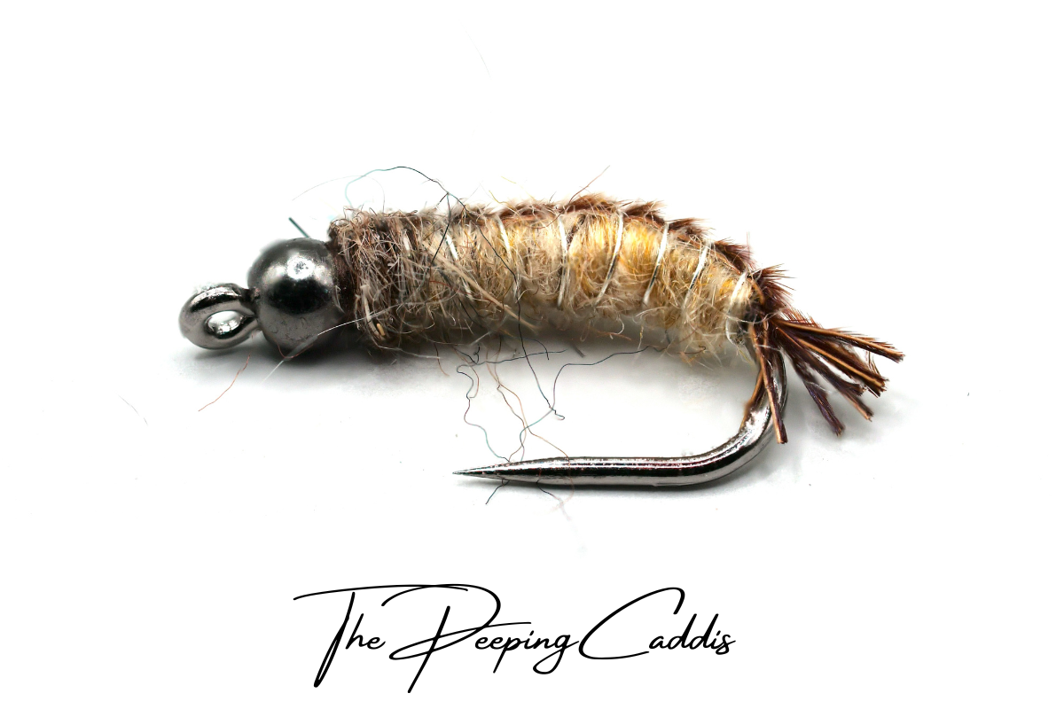 The Peeping Caddis