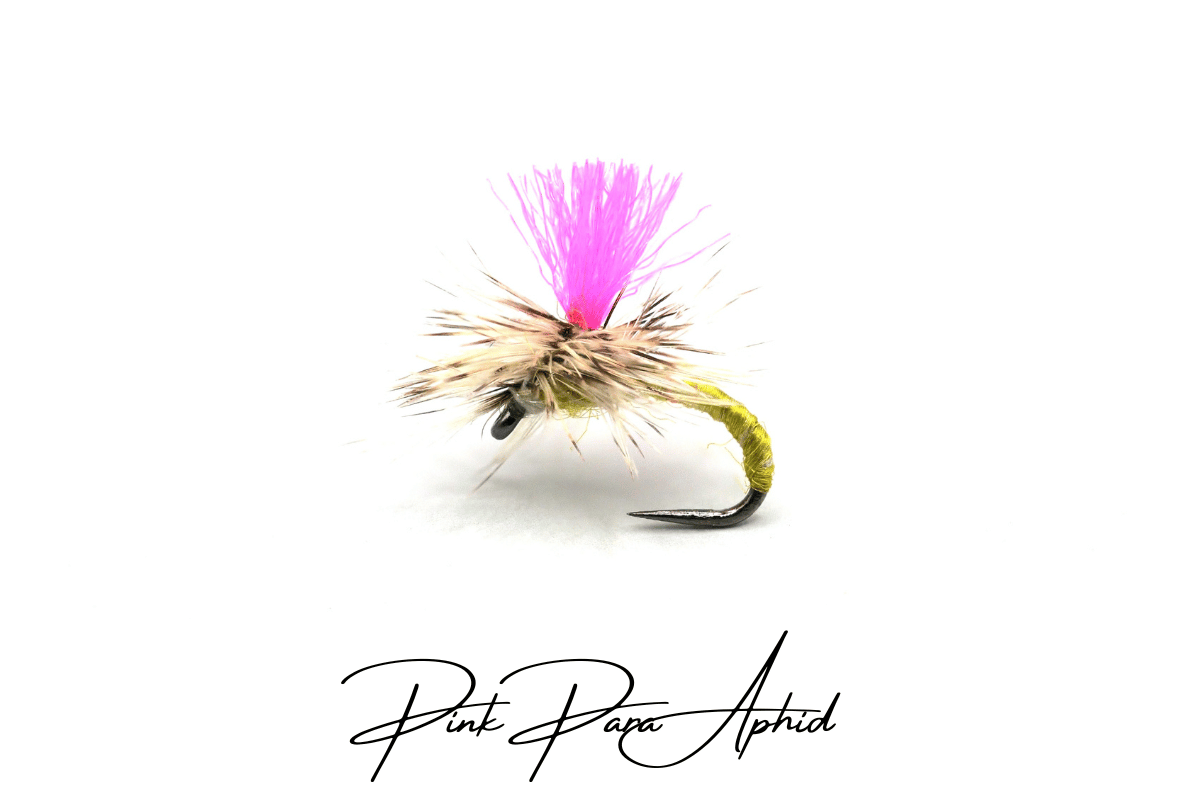 The River Whisperer Selection