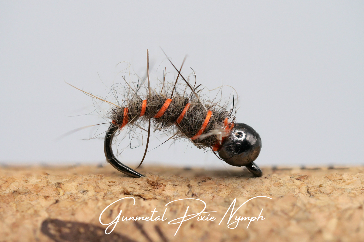Gunmetal Pixie Nymph