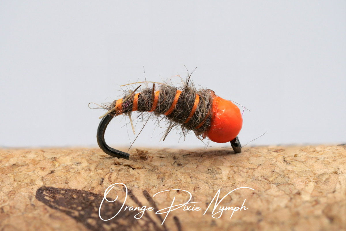 Orange Pixie Nymph