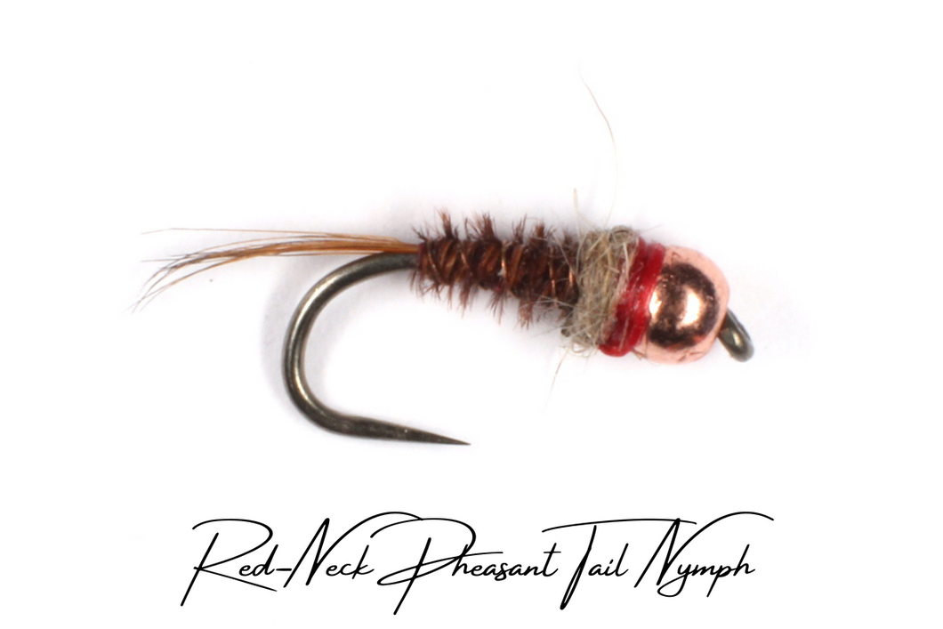 Red-Neck Pheasant Tail Tungsten Nymph
