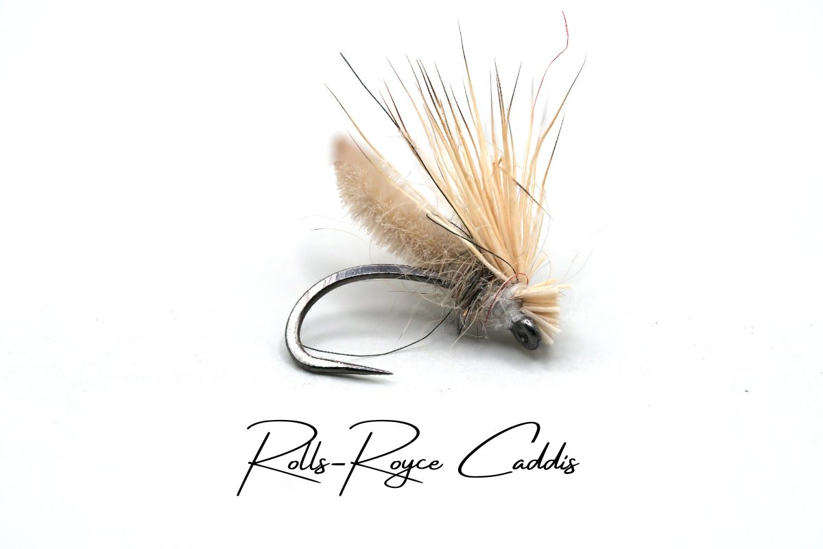 The Rolls Royce Caddis