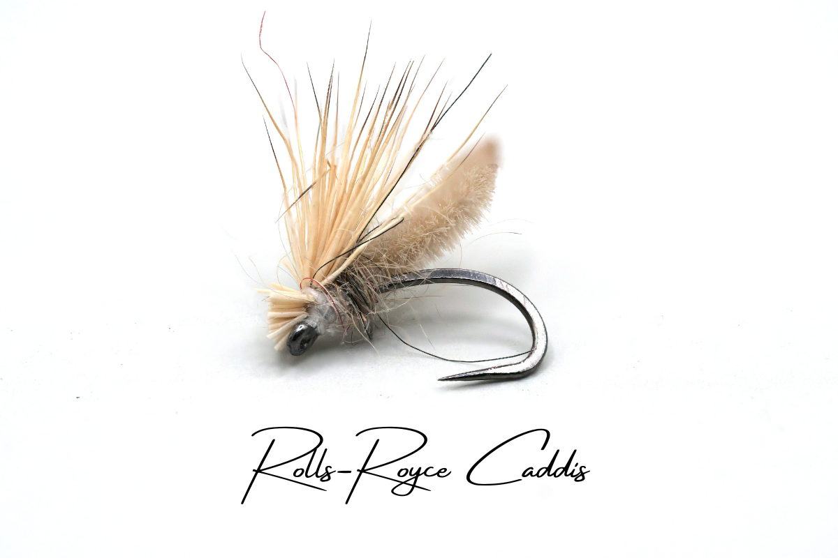 The Rolls Royce Caddis