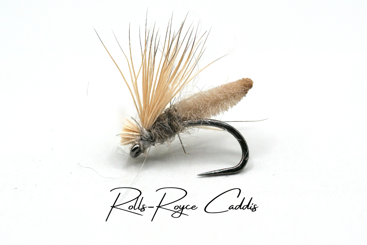 The Rolls Royce Caddis Selection